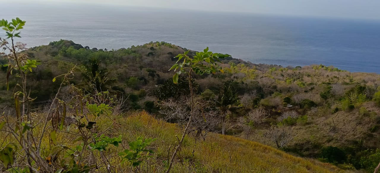 Ocean view from Nusa Penida land for sale