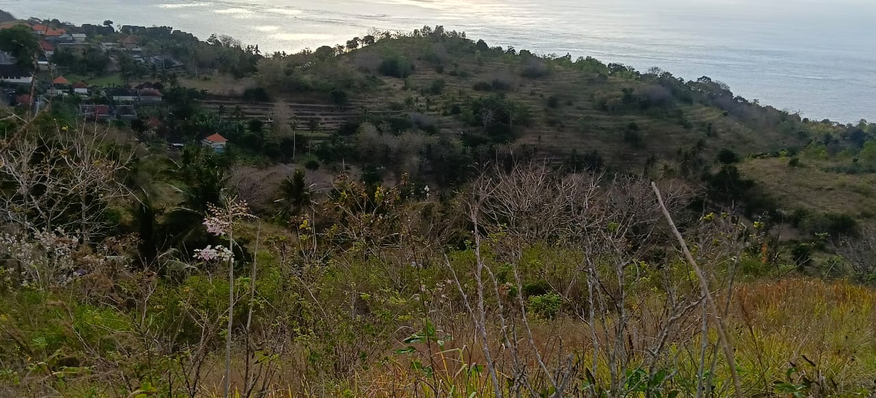 Landscape view of Nusa Penida property