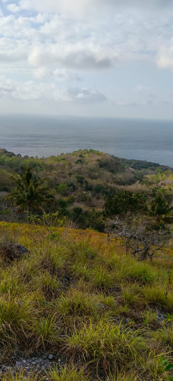 Hillside ocean panorama Nusa Penida land
