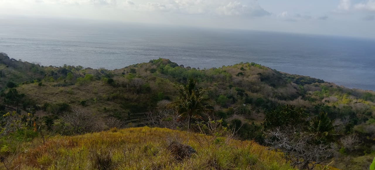 Wide ocean view from Nusa Penida hillside land