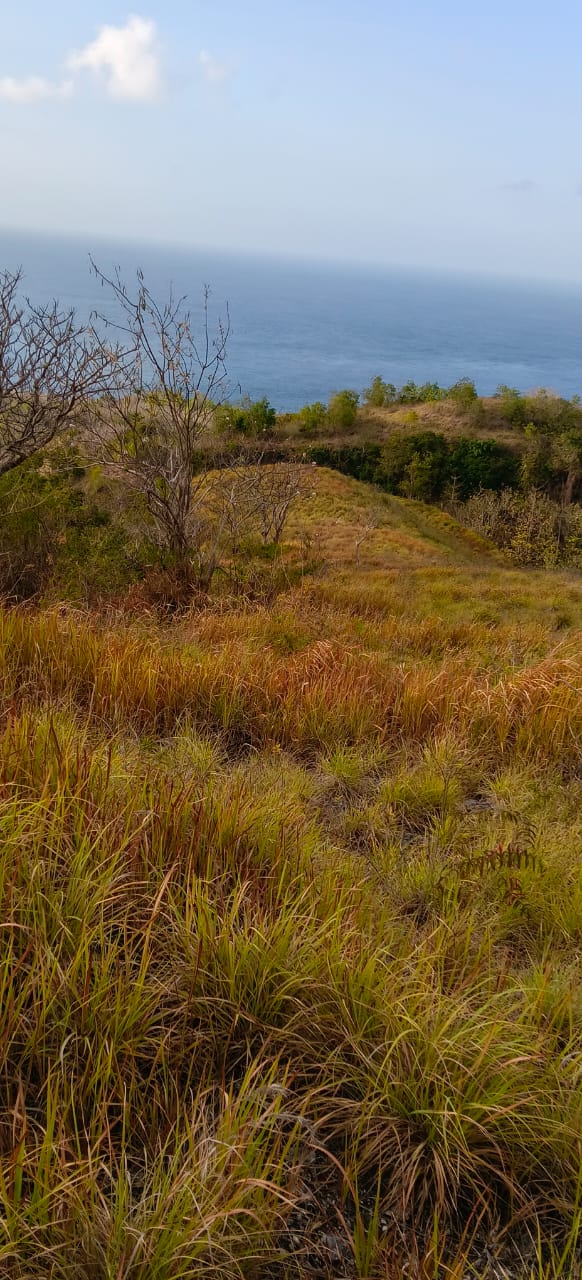 Hillside terrain on Nusa Penida land