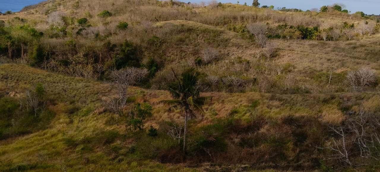 Rolling hills on Nusa Penida land for sale